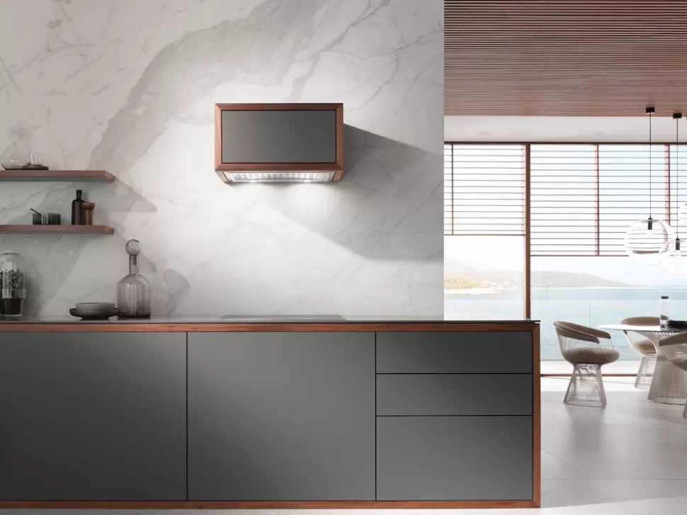 Miele Hottes Aspirantes | Da 2558 Exta
