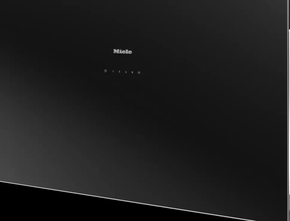 Miele Hottes Aspirantes | Da 9091 W Screen