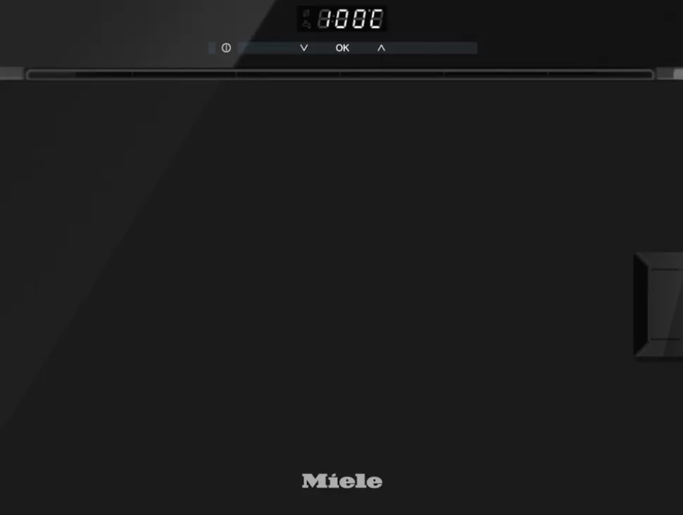 Miele Fours À Vapeur | Dg 6010